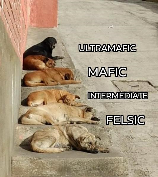 Different colored dogs sitting on concrete steps. The darkest dog is on the top step and the lightest on the bottom. From top to bottom, the dogs correspond to the labels "ultramafic," "mafic," "intermediate," and "felsic."