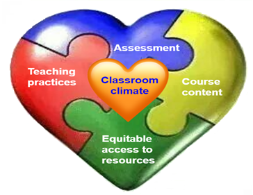 A heart made of puzzle pieces displaying different "themes": assessment, course content, equitable access to resources, teaching practices, and classroom climate.
